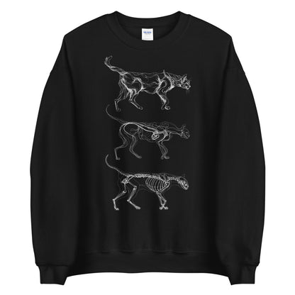 Sweatshirt The Dreamers: Cat Anatomy