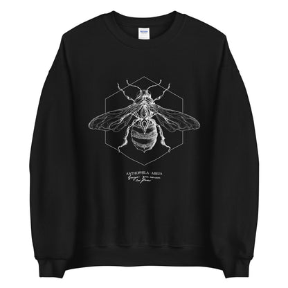 The Dreamers Sweatshirt: Bee