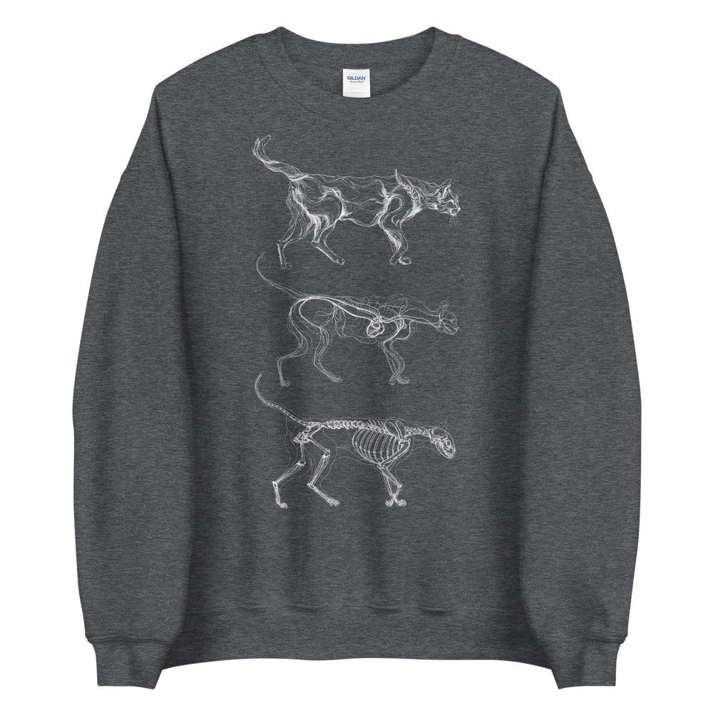 Sweatshirt The Dreamers: Cat Anatomy