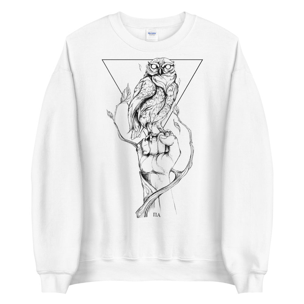 The Dreamers Sweatshirt: Pallas Athena